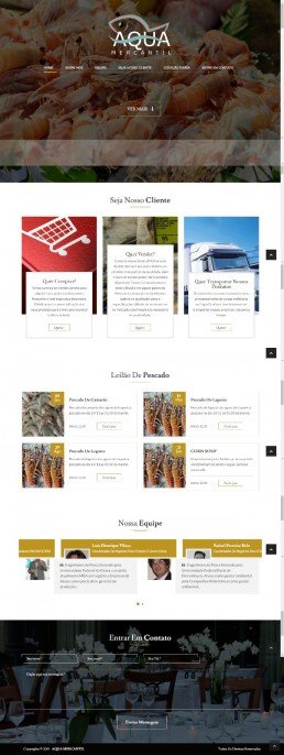 criação de sites criação de sites Criação de Sites para Empresas
