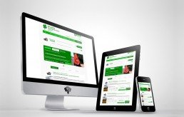 criação de sites